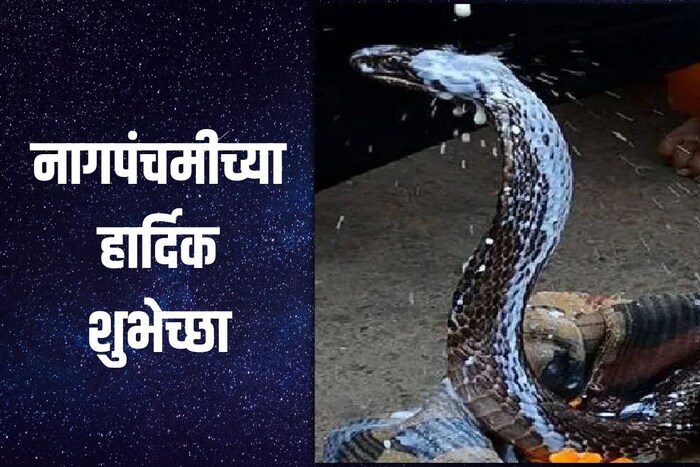 अनेक ठिकाणी शिवलिंगावर देखील नागाच्या मूर्ती स्थापित आहेत आणि त्यांची पूजा केली जाते. 
