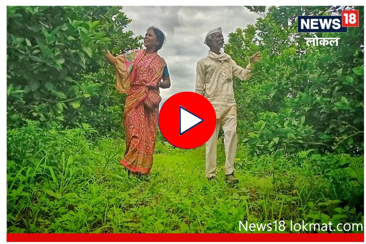 Aurangabad : वाल्याचा झाला वाल्मिकी! एकेकाळचा गुन्हेगार आता बनला शेतकरी, पाहा कसा झाला बदल VIDEO