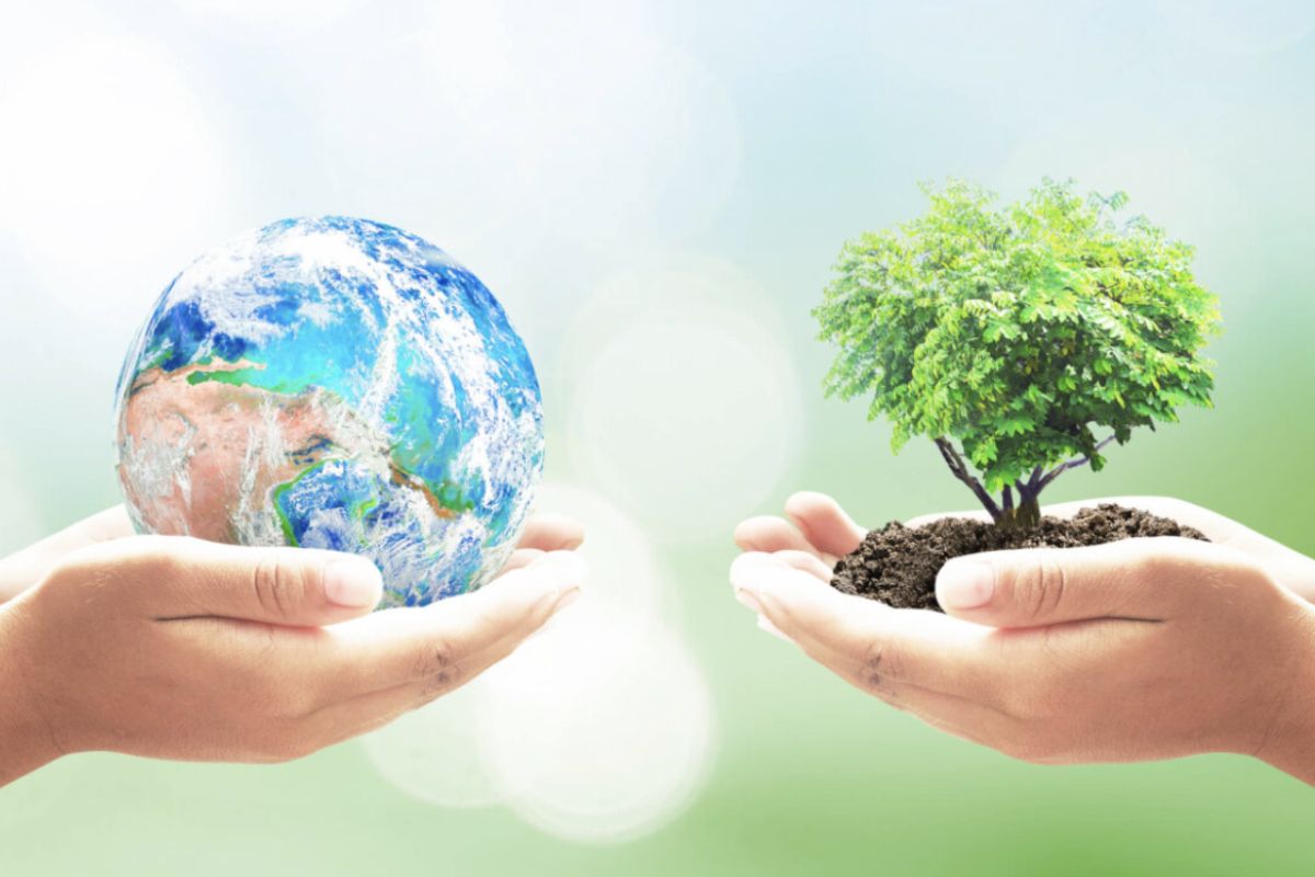 ग्रीन सेक्टरमधील करिअर टिप्स