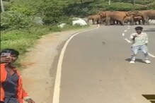 VIDEO-स्टाईलमध्ये गजराजासह सेल्फी काढायला गेला तरुण; संतप्त हत्तींच्या कळपाने...