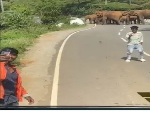 हत्तींच्या कळपासोबत सेल्फी काढण्याची भलतीच हौस तरुणांच्या अंगाशी आली.