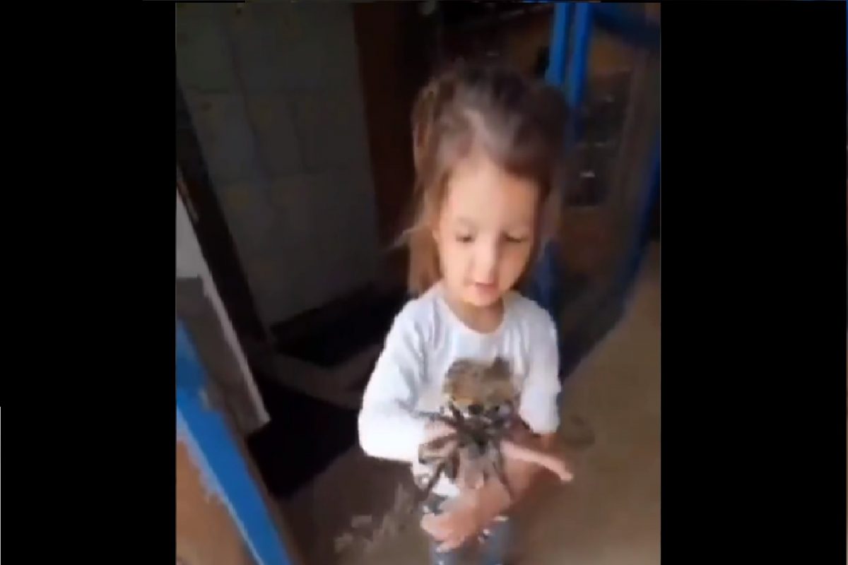 चिमुकलीचा खेळ पाहून सर्वजण हैराण.