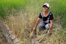 चीनमध्ये 61 वर्षातील भयंकर दुष्काळ! पिके वाचवण्यासाठी करणार शेवटचा प्रयोग चीनमध्ये 61 वर्षातील भयंकर दुष्काळ! पिके वाचवण्यासाठी करणार शेवटचा प्रयोग
