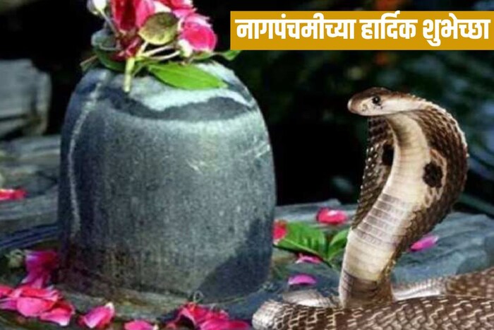नागदेवाची पूजा केल्यानं सापांविषयीची भिती दूर होते असं मानले जातं. 