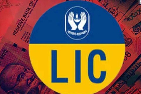 LIC Saral Pension Yojana: ‘या’ पॉलिसीमध्ये फक्त एकदाच गुंतवणूक करा अन् आयुष्यभर मिळवा पेन्शन