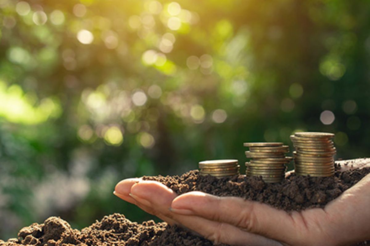 Investment Tips: जमिनीत गुंतवणूक करण्यापूर्वी घ्या ‘या’ गोष्टींची काळजी, नाहीतर याल अडचणीत