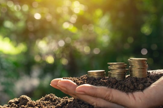 Investment Tips: जमिनीत गुंतवणूक करण्यापूर्वी घ्या ‘या’ गोष्टींची काळजी, नाहीतर याल अडचणीत 