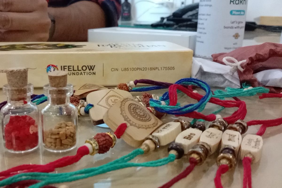 सीड राखी