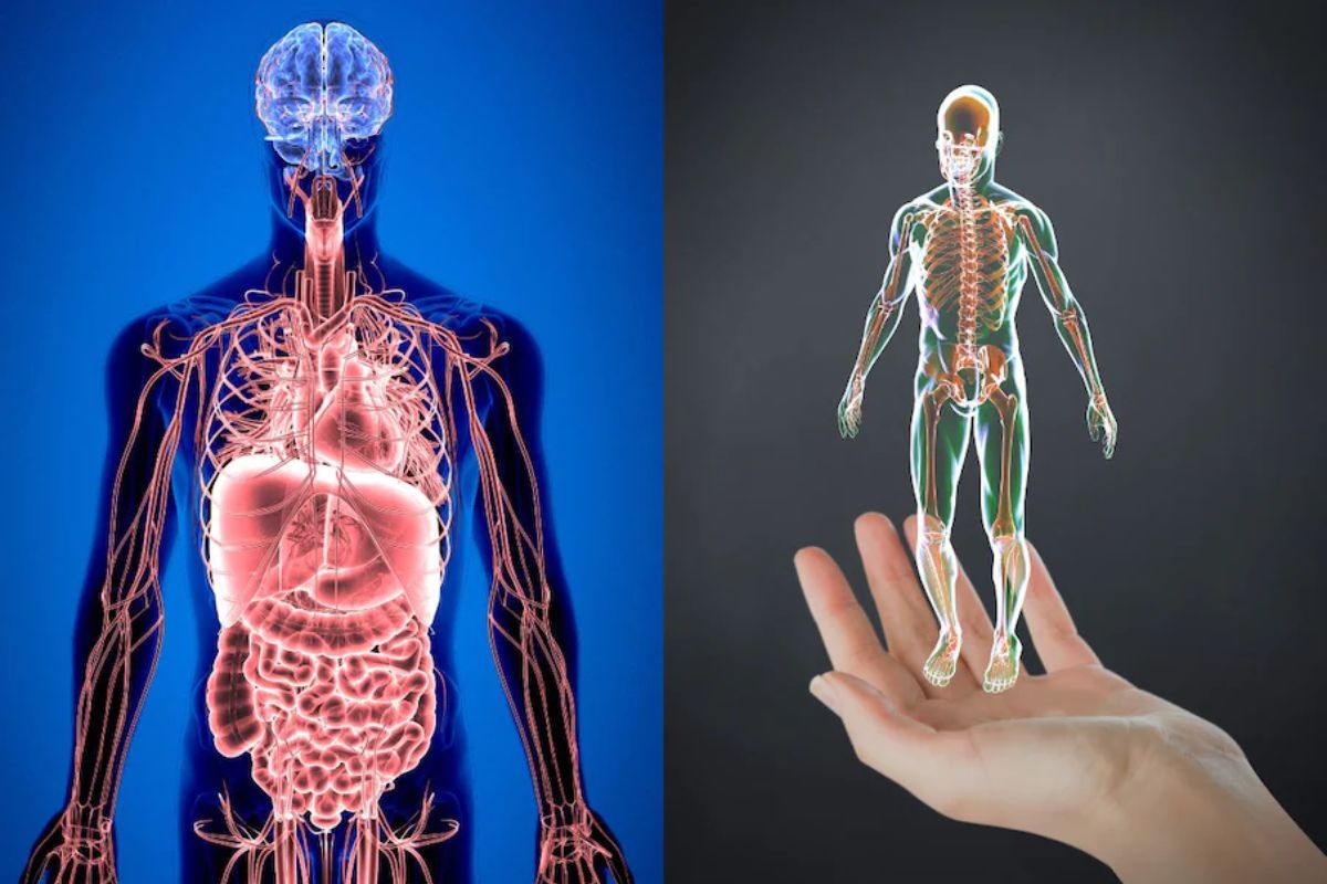 Human Body: मानवी शरीराशी निगडीत 'या' आहेत अद्भुत गोष्टी