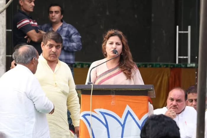 राजकारणात सक्रिय होण्यापूर्वी सोनाली फोगटने अभिनय आणि मॉडेलिंगच्या जगात त्या सक्रिय होत्या. अलीकडेच ती बिग बॉस 14 मध्ये वाईल्डकार्ड म्हणून सहभागी झाल्या होत्या.