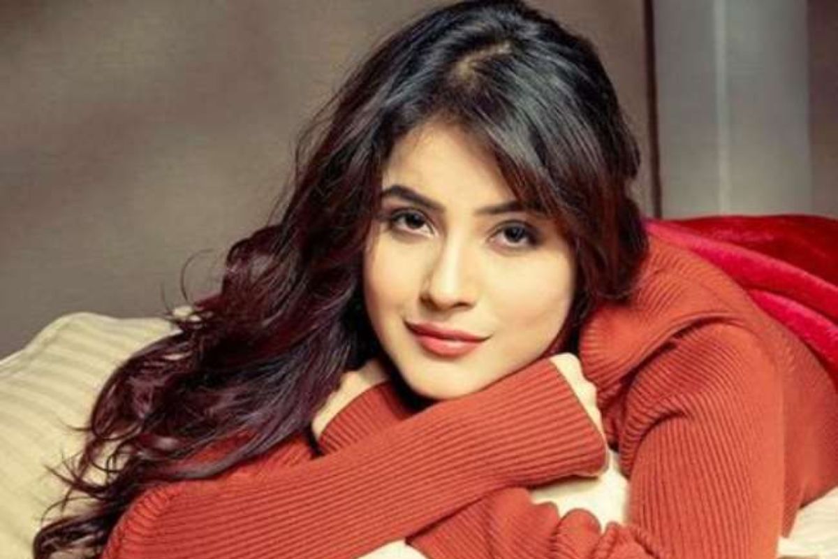 Shehnaaz Gill करणार मोठा धमाका; दिवाळीला चाहत्यांना देणार खास गिफ्ट