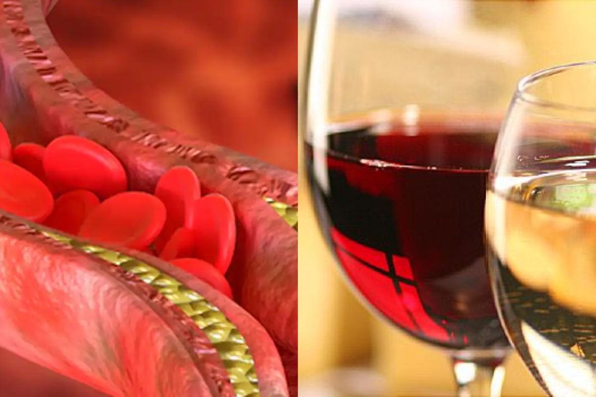 Alcohol And Cholesterol : खरंच दारूमुळे कंट्रोलमध्ये राहतं का कोलेस्टेरॉल; याचा काय आहे संबंध?