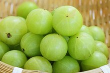 आवळा खाल्ल्याने कमी होते बॅड कोलेस्टेरॉल! हे पदार्थही ठरतात फायदेशीर