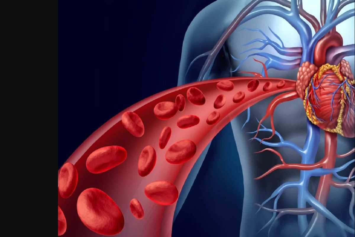 रक्त शुद्धीसाठी 'हे' घरगुती उपाय ठरतील फायदेशीर, अॅलर्जी-त्वचेशी संबंधित समस्यांपासून कायमची मुक्ती