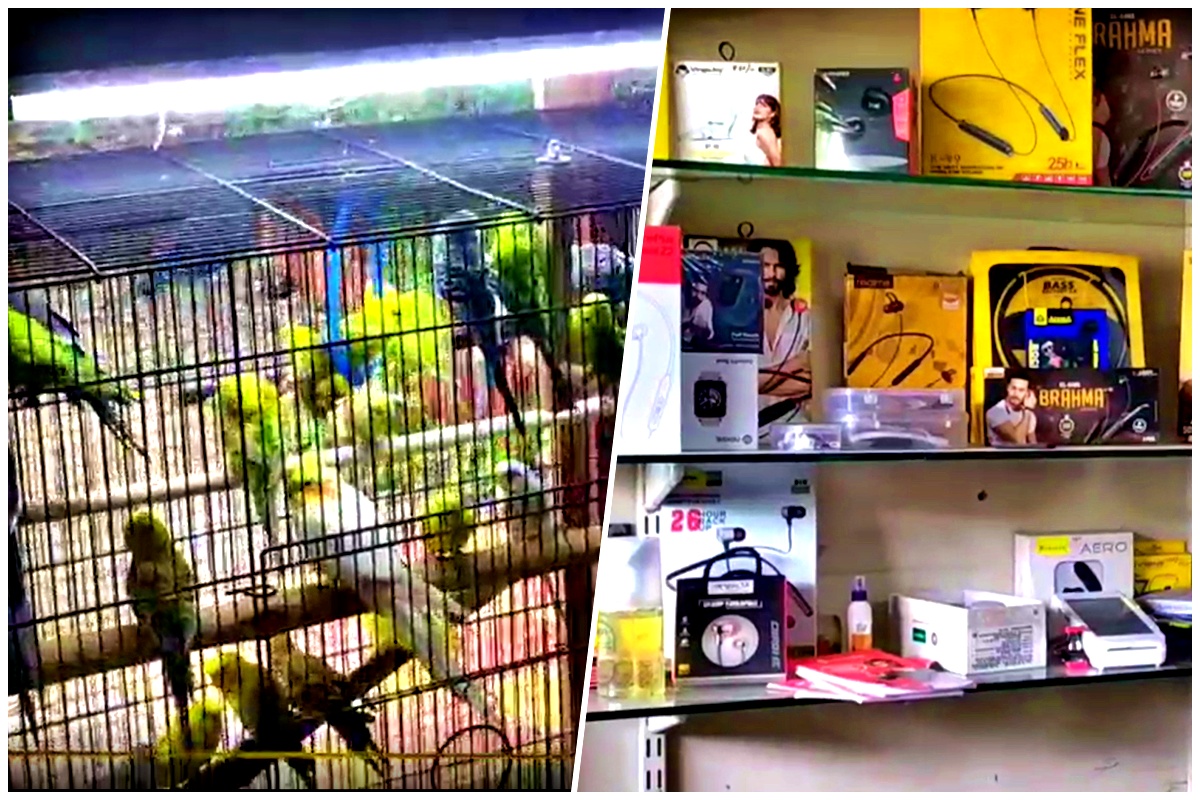 'या' योजनेतून घ्या 50 लाखांपर्यंत कर्ज; सरकार फेडेल तुमचं व्याज, VIDEO