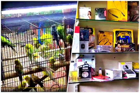 'या' योजनेतून घ्या 50 लाखांपर्यंत कर्ज; सरकार फेडेल तुमचं व्याज, VIDEO