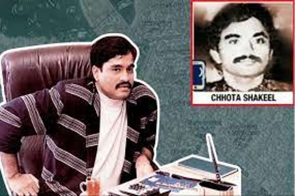 नामांकित बिल्डरला धमकी, मुंबईत पुन्हा डी गँग कार्यरत? छोटा शकीलचा मेव्हणा सलीम फ्रूटला बेड्या