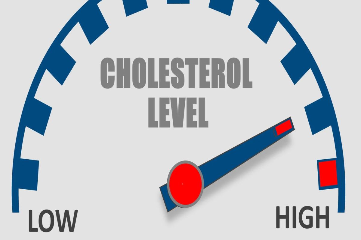Health Tips: कोलेस्ट्रॉल कमी झालं तर ब्रेन ब्लीडिंगसोबत 'या' आजाराचा धोका