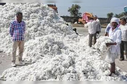 Cotton Rate : कापसाच्या दरात मोठी वाढ शेतकऱ्यांना अच्छे दिन तर सूत गिरण्या संकटात?