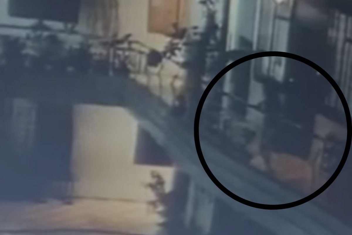 Shocking Video : मुलांकडे दुर्लक्ष जीवावर बेतू शकतं; रेलिंगशी खेळता खेळता चिमुरडी खाली कोसळली