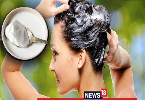 Curd for Hair : ...तर दह्यामुळेही केस होतील खराब; तुम्हीही वापरत असाल तर  एकदा जरूर वाचा – News18 लोकमत