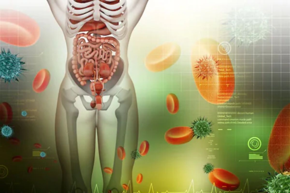 Healthy Stomach : जेवण झाल्यानंतर लगेच पाणी पिणे ठरू शकते घातक! असे वाढावा मेटॅबॉलिझम