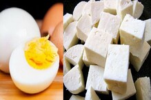 पनीर आणि अंडी एकत्र खावे का? वजन कमी करणाऱ्यांना हे माहित असावंच पनीर आणि अंडी एकत्र खावे का? वजन कमी करणाऱ्यांना हे माहित असावंच