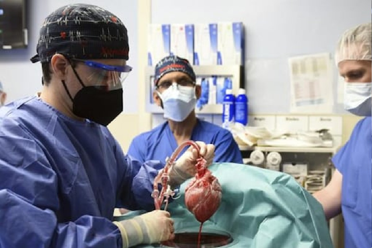 प्रतिकात्मक फोटो