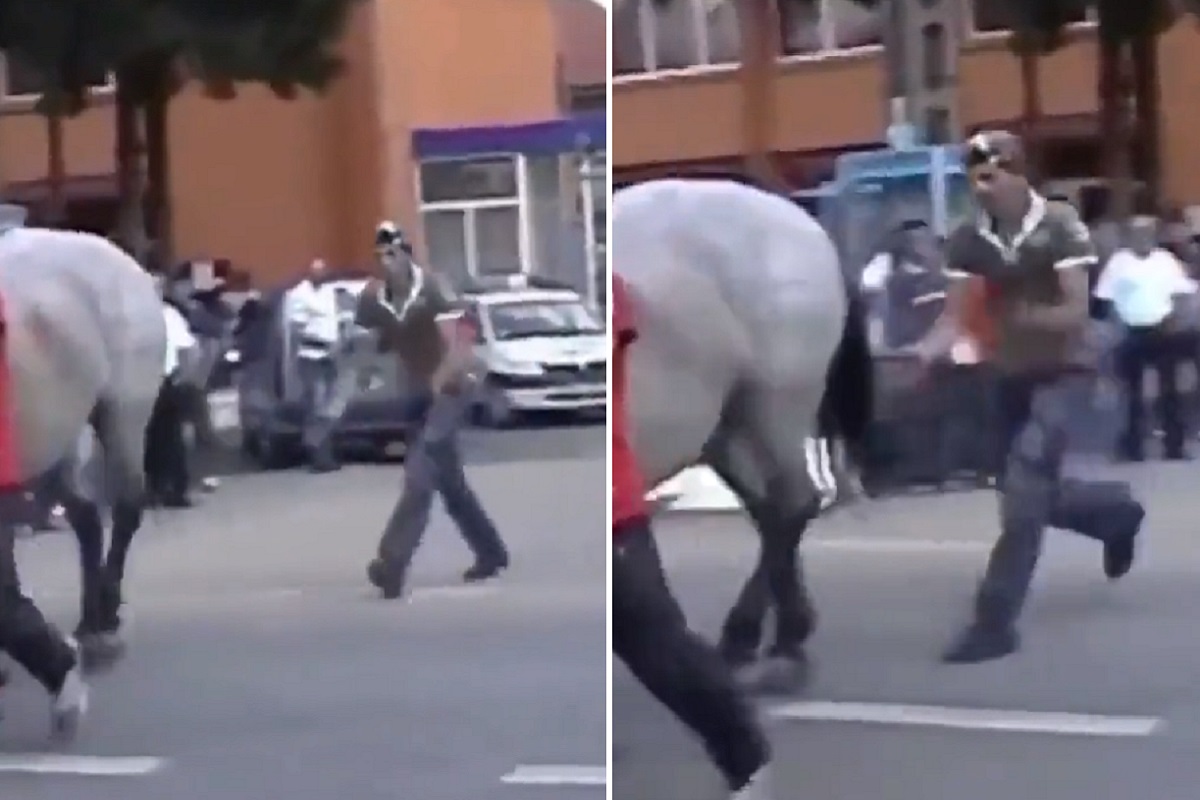 घोड्याशी खेळ म्हणजे संकटाला आमंत्रण... तरुणासोबत घडला धक्कादायक प्रकार, Video Viral