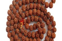 तुम्हालाही रुद्राक्ष धारण करायला आवडते? मग या गोष्टींची घ्या विशेष काळजी तुम्हालाही रुद्राक्ष धारण करायला आवडते? मग या गोष्टींची घ्या विशेष काळजी