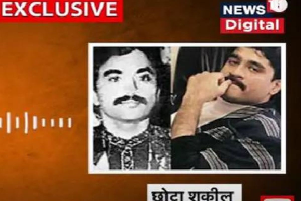 EXCLUSIVE: नवाब मलिक आणि अंडरवर्ल्डचे संबंध काय, मुंबईत डी गँगचे शूटर आहेत का? छोटा शकीलने केले मोठे खुलासे