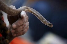 सर्पदशांने मृत्यू झालेल्या भावाच्या अंत्यविधीसाठी आला, तरुणाचंही सर्पदंशाने निधन सर्पदशांने मृत्यू झालेल्या भावाच्या अंत्यविधीसाठी आला, तरुणाचंही सर्पदंशाने निधन