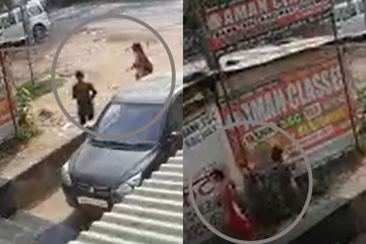 VIDEO: आधी वाट पाहिली अन् समोर येताच झाडल्या गोळ्या; कोचिंगसाठी निघालेल्या मुलीवर रस्त्यातच भयानक हल्ला