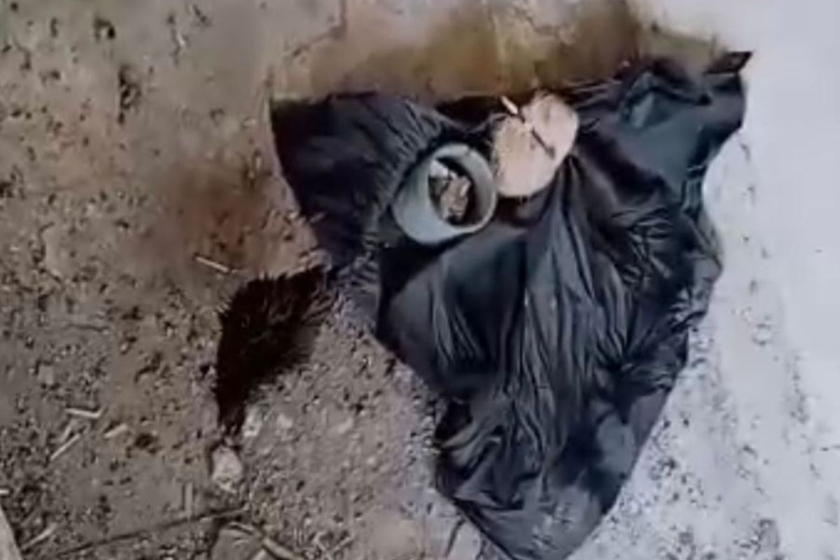 स्मशानभूमीमध्ये पडलेल्या काळ्या पिशवीत जाणवली हालचाल; उघडून बघताच सगळे हादरले