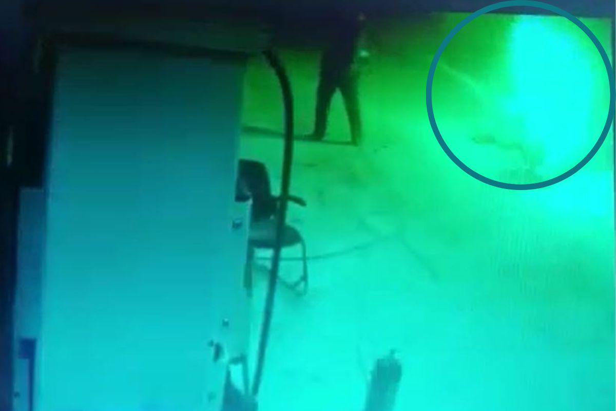 तरुण गाडी चालवत असतानाच बुलेटने अचानक घेतला पेट; नाशिकमधील थरार CCTV मध्ये कैद, VIDEO