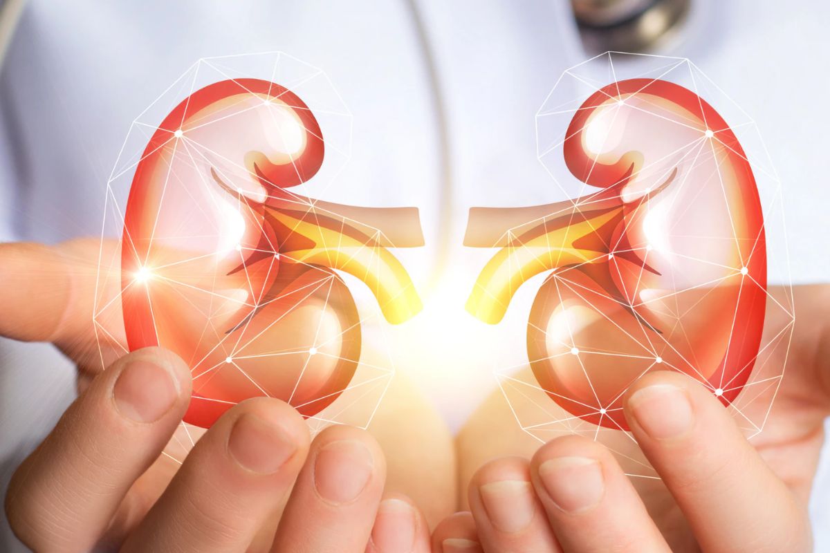 किडनीला रोगांपासून दूर ठेवण्यासाठी करा घरगुती उपाय; 'हे' डिटॉक्स ड्रिंक ठरतील फायदेशीर