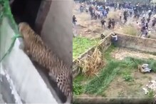 बिबट्या आला रे आला! गावात घुसून वाटेत येणाऱ्या प्रत्येक माणसाला...; खतरनाक VIDEO बिबट्या आला रे आला! गावात घुसून वाटेत येणाऱ्या प्रत्येक माणसाला...; खतरनाक VIDEO