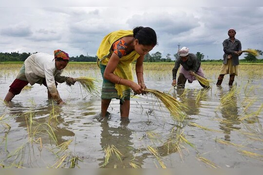 Monsoon Rain Update :  शेतकऱ्यांना मोठा फटका बसणार, यंदा मान्सून लवकर जाणार हवामान विभागाची सूचना