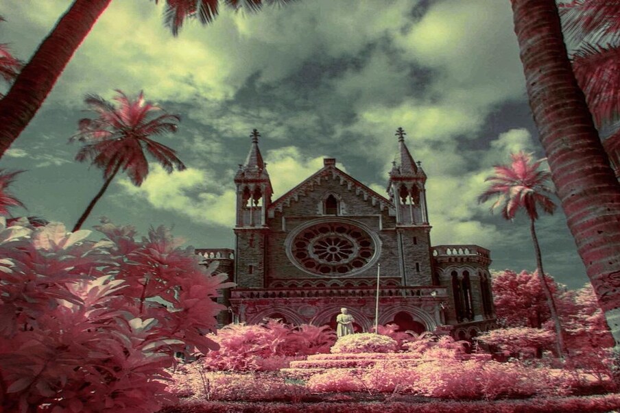 मुंबई विद्यापीठ (Photo- Uddhav Thackeray)