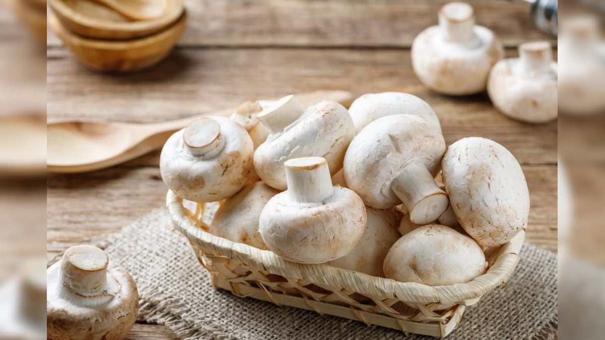 Is mushroom veg or non veg? what are advantages and disadvantages of