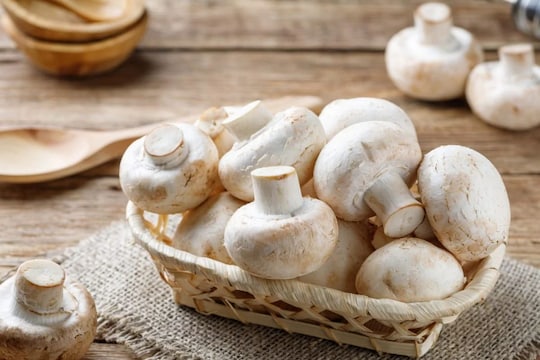 Mushroom Veg Or Non-Veg : मशरूम व्हेज आहे की नॉनव्हेज? हे आहेत मशरूम खाण्याचे फायदे आणि तोटे