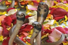 नागपंचमीला बनत आहे अद्भुत योग; काय करावं, काय करू नये वाचा सविस्तर नागपंचमीला बनत आहे अद्भुत योग; काय करावं, काय करू नये वाचा सविस्तर