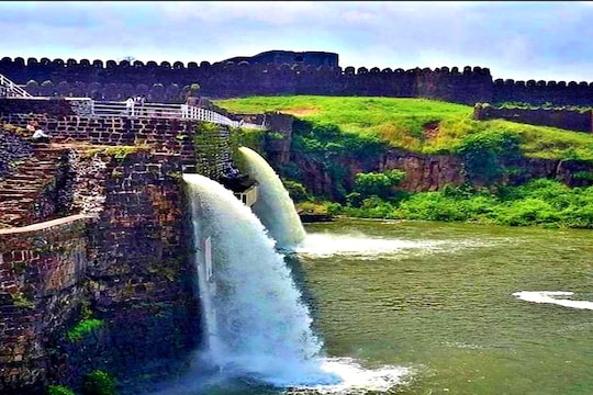 नर मादी धबधबा