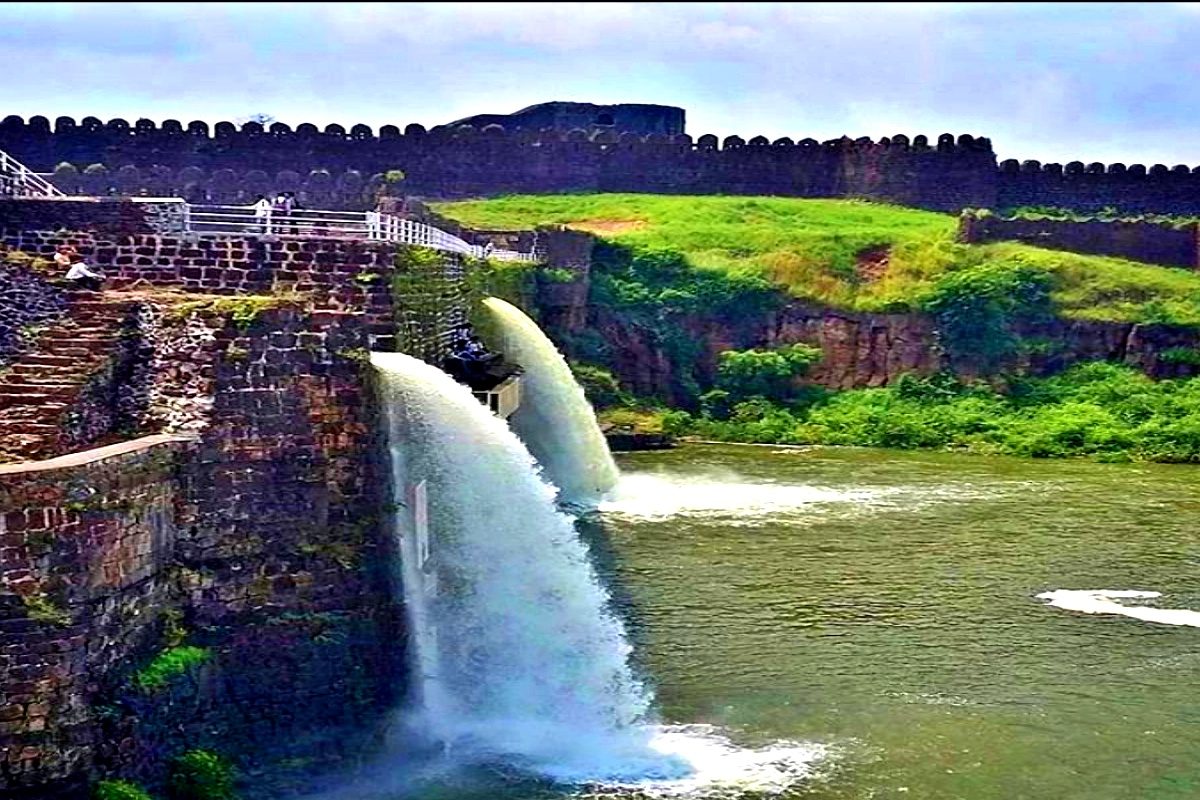 नर मादी धबधबा