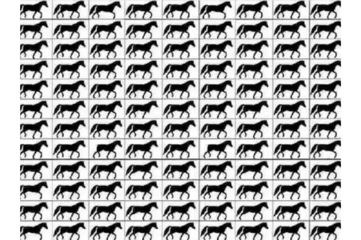 20 सेकंदात घ्या तुमच्या डोळ्यांची टेस्ट, चित्रात 3 पायांचे किती घोडे दिसत आहेत? 20 सेकंदात घ्या तुमच्या डोळ्यांची टेस्ट, चित्रात 3 पायांचे किती घोडे दिसत आहेत?
