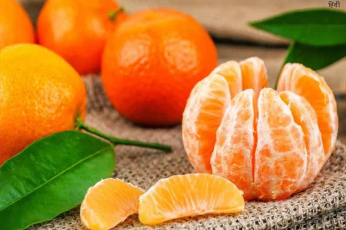 मधुमेहाच्या रुग्णांसाठी संत्री खाणे सुरक्षित आहे का? किती प्रमाणात खाणे योग्य? मधुमेहाच्या रुग्णांसाठी संत्री खाणे सुरक्षित आहे का? किती प्रमाणात खाणे योग्य?