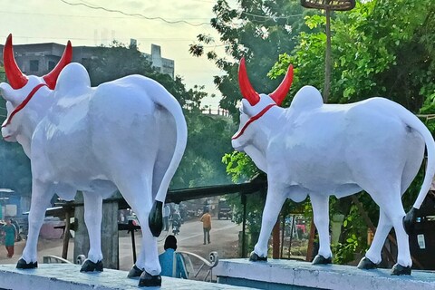 स्वातंत्र्यापूर्वीच्या