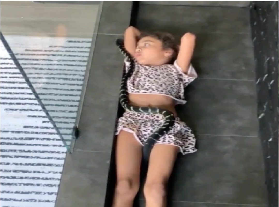 बापरे! चिमुकलीच्या अंगावर चढला खतरनाक साप आणि...; काळजाचं पाणी पाणी करणारा VIDEO