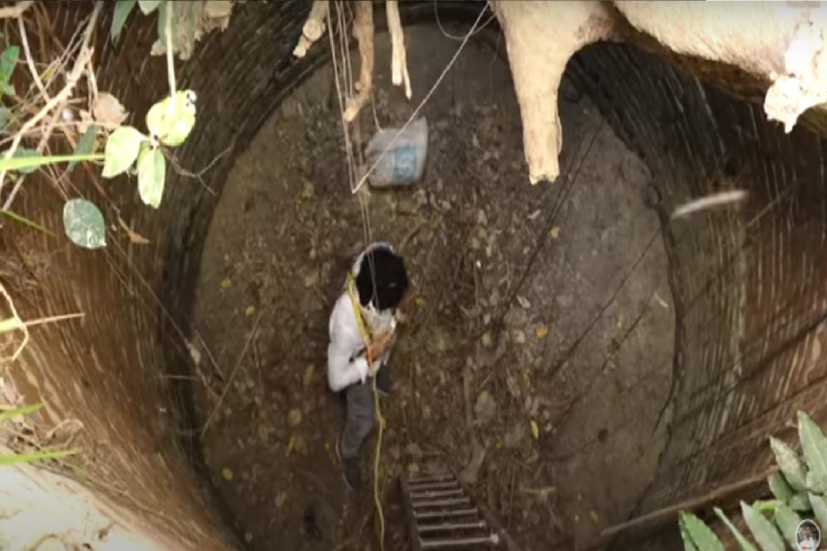 एकट्या माणसाने एकाच वेळी 6 सापांना केलं रेस्क्यू.