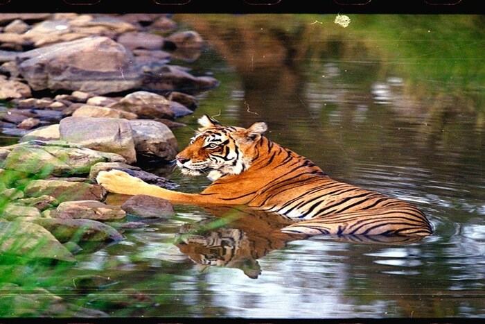 (Photo- Uddhav Thackeray)
